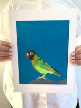 Load image into Gallery viewer, Cher Green Parrot Giclee on paper 9" x 12"