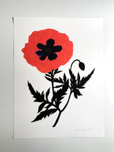 Load image into Gallery viewer, Poppy Cameo Giclee