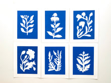 Load image into Gallery viewer, Bright Blue SUNPRINTS - 10 different designs