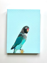 Load image into Gallery viewer, Arlo On Turquoise Parrot Giclee