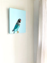 Load image into Gallery viewer, Arlo On Turquoise Parrot Giclee