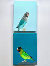 Load image into Gallery viewer, Arlo On Turquoise Parrot Giclee