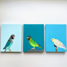 Load image into Gallery viewer, Arlo On Turquoise Parrot Giclee