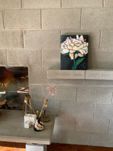 Load image into Gallery viewer, Blush Peony On Jet Giclee 12" x 16"
