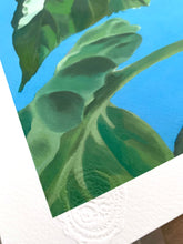 Load image into Gallery viewer, Sunflower Giclee