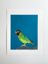 Load image into Gallery viewer, Cher Green Parrot Giclee on paper 9&quot; x 12&quot;
