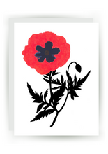Load image into Gallery viewer, NF GC 033  /  Poppy Cameo Greeting Card
