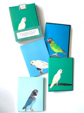 Load image into Gallery viewer, NF GCS Birdies / Birdies Boxed Set Of 4 Greeting Cards / 3 box sets

