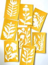 Load image into Gallery viewer, Marigold Sunprints Assorted Postcard Boxed Set
