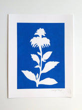 Load image into Gallery viewer, Bright Blue SUNPRINTS - 10 different designs
