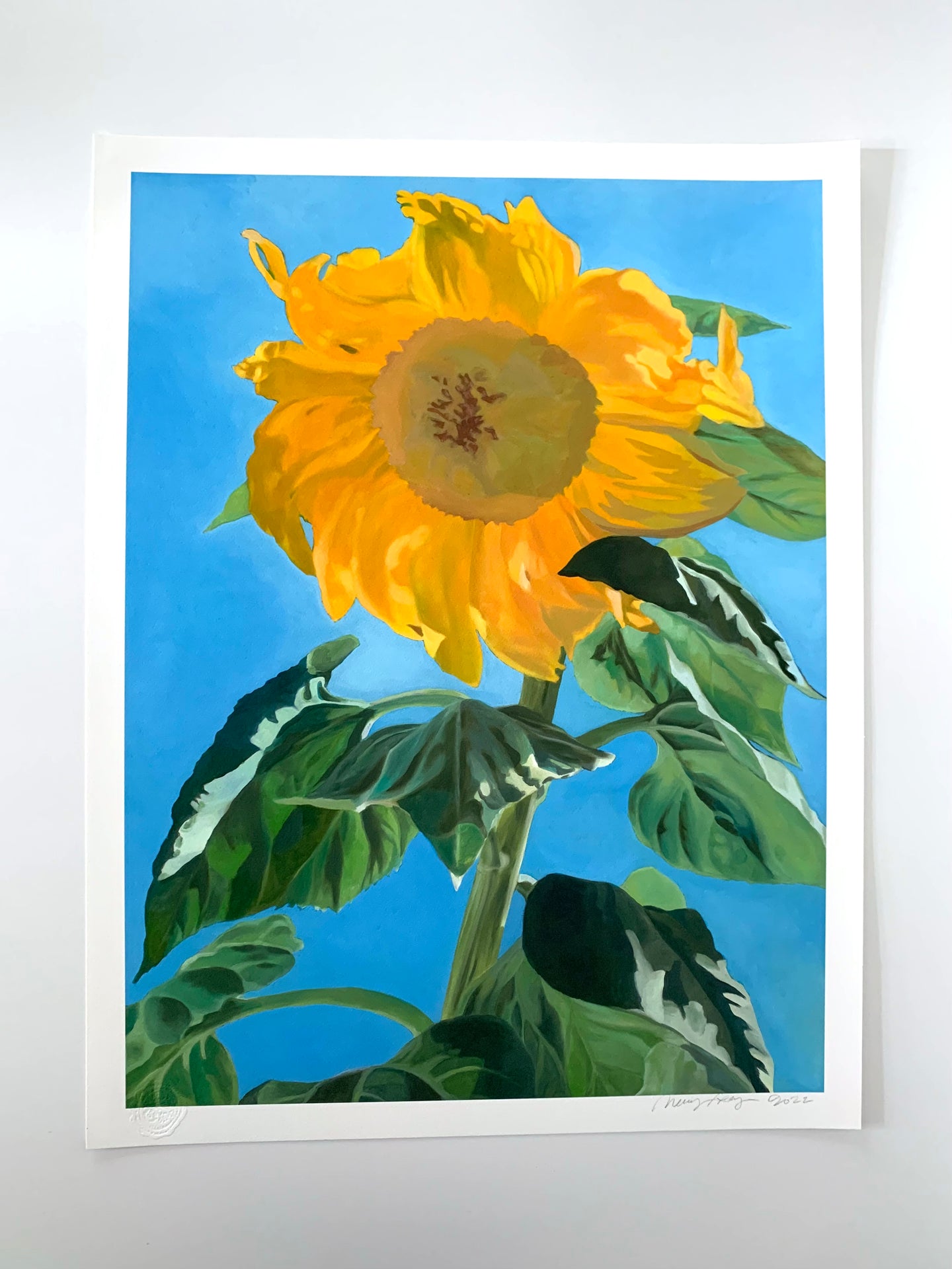 Sunflower Giclee On Paper 18 x 24