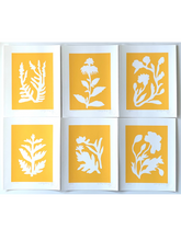 Load image into Gallery viewer, Marigold SUNPRINTS - various
